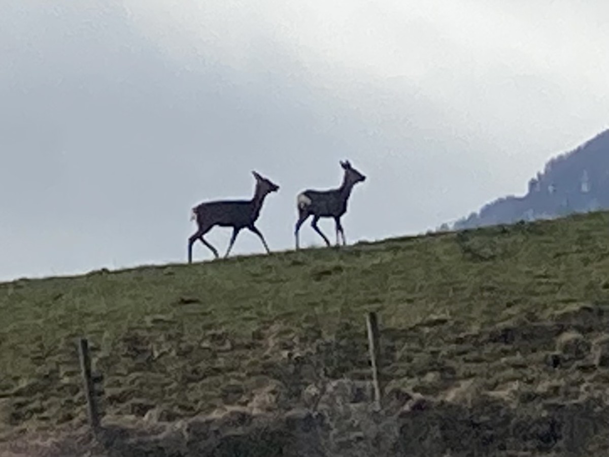 Landschaftsbild