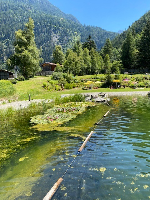 See Tirol
