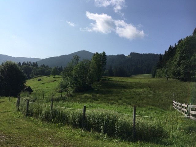 Bad Kohlgrub, KI-gestützte Darstellung