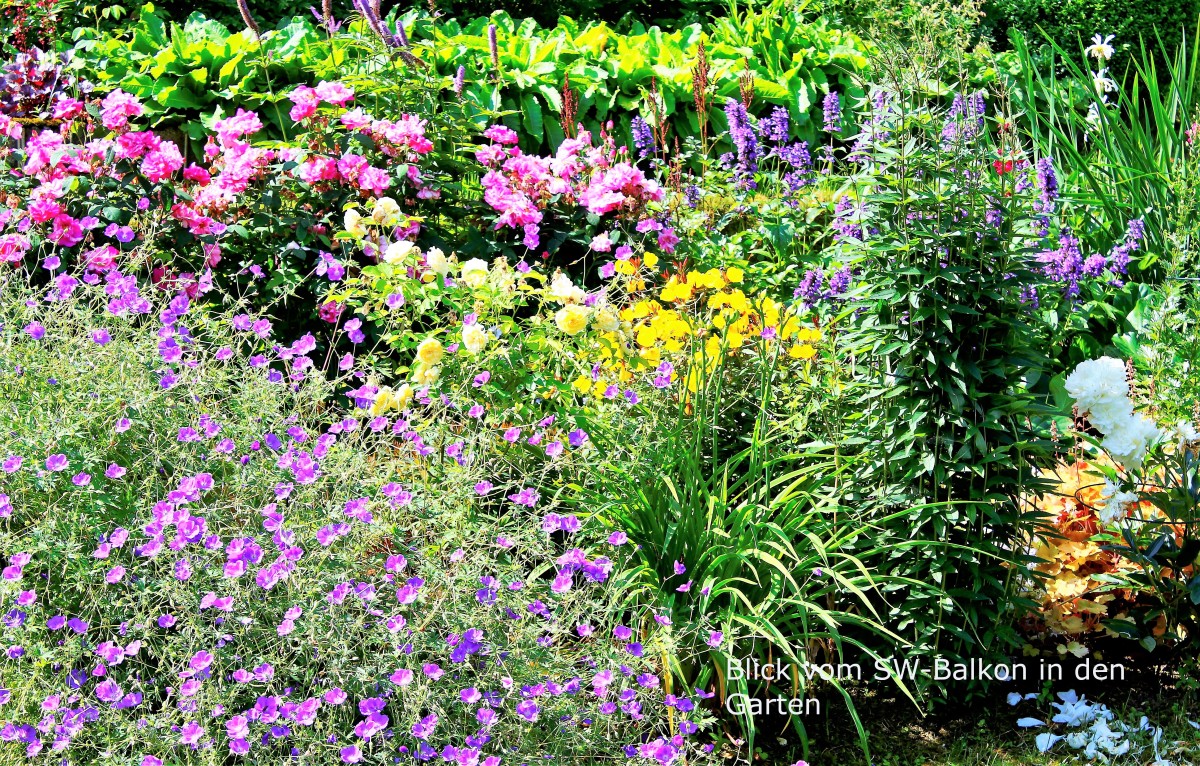 Ausblick Balkon Garten