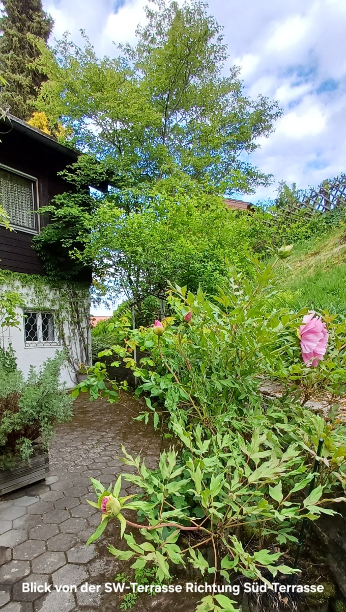 SW-Terrasse 
